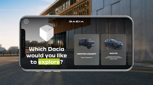 Dacia Sandero - Dacia boot organizer