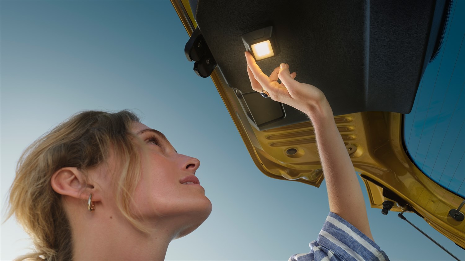 Dacia Sandero Stepway - accessoires