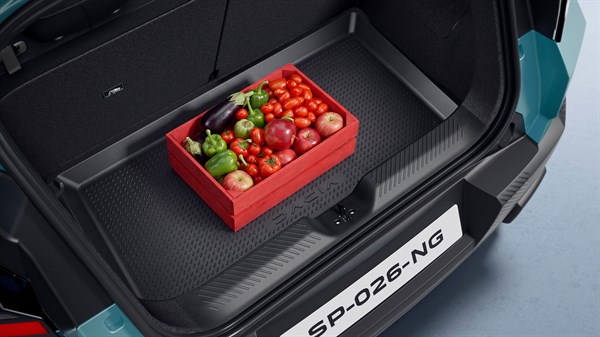 Bac de rangement sous capot moteur - Dacia Spring