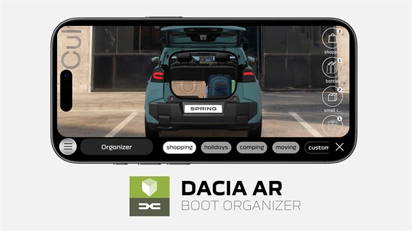 Dacia boot organizer