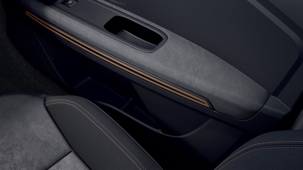 Sandero Stepway Extreme - TEP MicroCloud lavable
